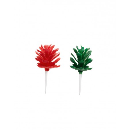 Green and red fir cones X6