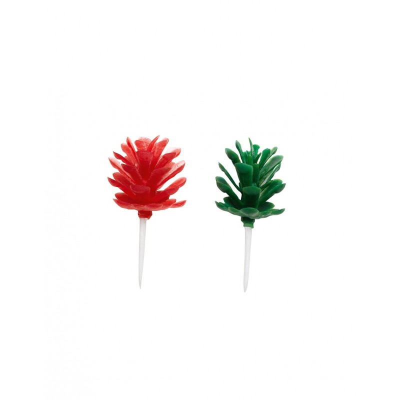 Green and red fir cones X6