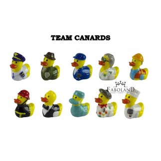 Team canards - Boîte de 100 pièces