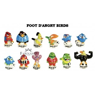 Foot d'angry birds
