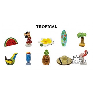 Tropical - Boîte de 100 pièces