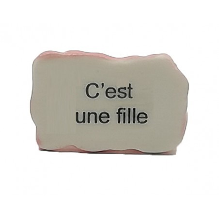 Annonce orginale de l'arrivée d'un bébé - C'est une fille - couffin marron