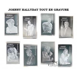 JOHNNY HALLYDAY tout en gravure - Boîte de 100 pièces