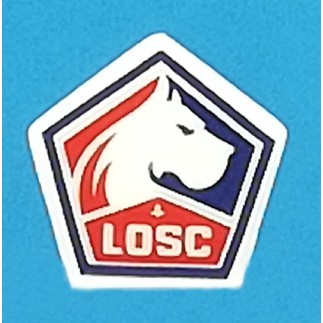 Fève à l'effigie du LOSC Lille - ligue 1 saison 2020/2021 football