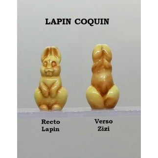 Le lapin coquin "recto lapin - verso zizi" - Boite de 100 pièces