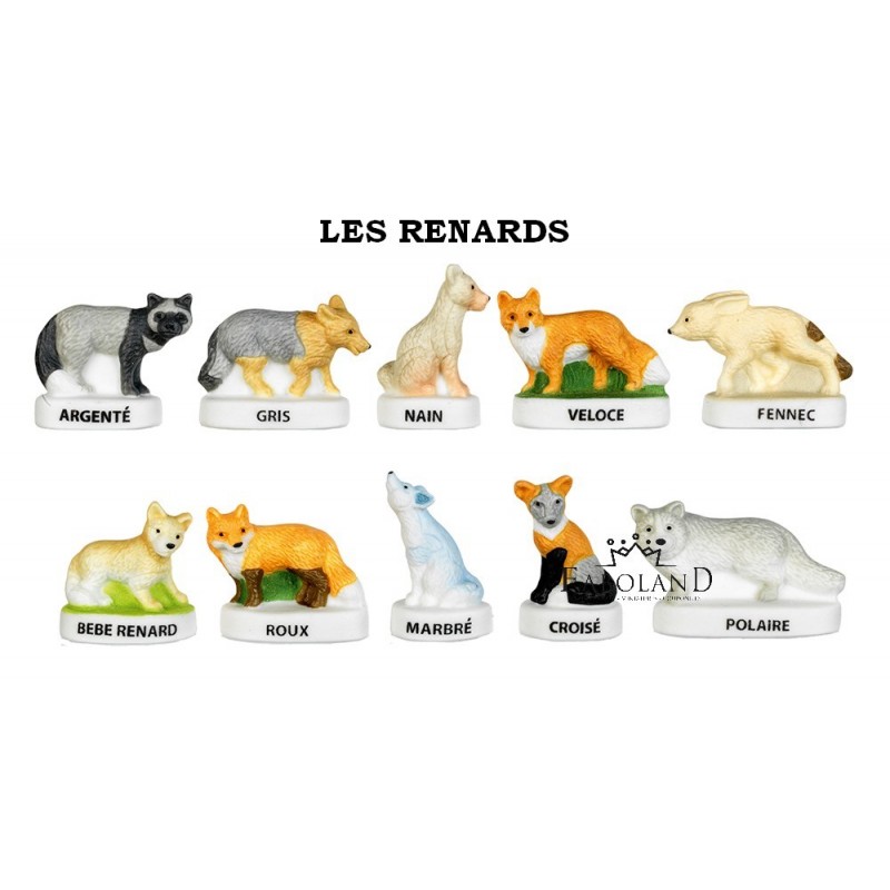 Les renards - Boîte de 100 pièces