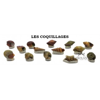 Les coquillages - feve - FABOLAND