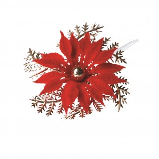 Boite de 72 Poinsettias
