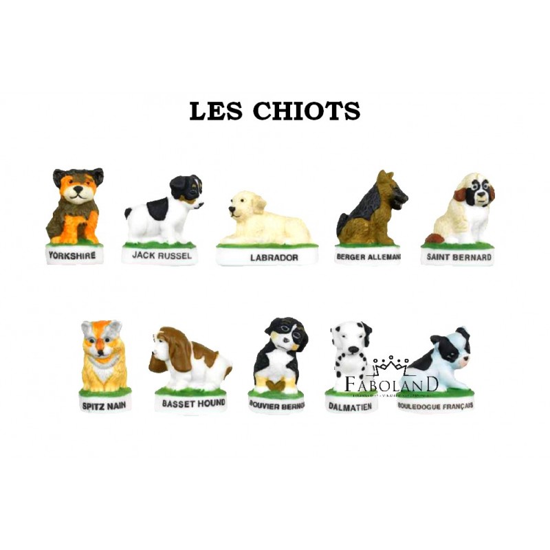 Les chiots