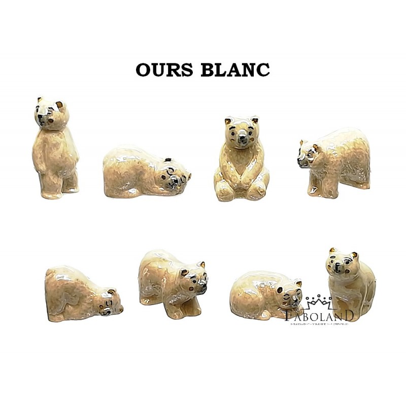 Osos polares - filete de oro