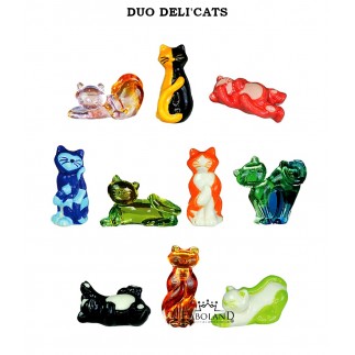 Duos déli'cats - Boîte de 100 pièces