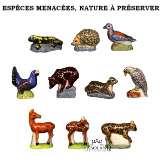 Espèces menacées, nature à préserver - feve epiphanie FABOLAND