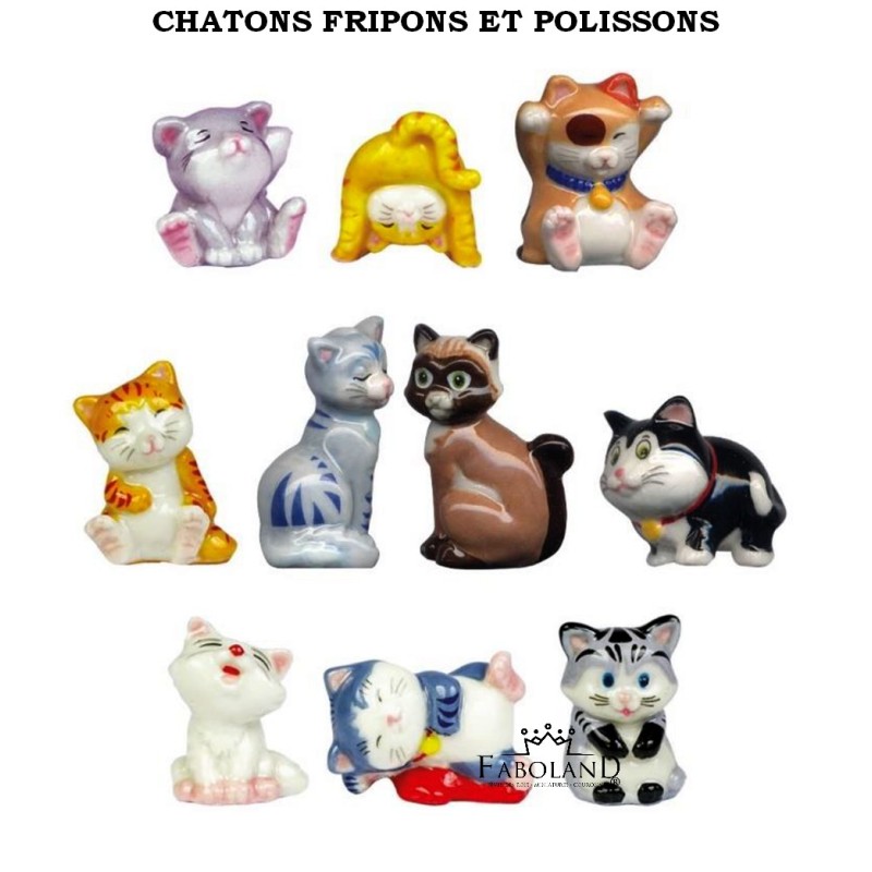 Gatitos traviesos y juguetones