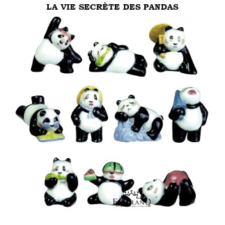 The secret life of pandas - box of 100