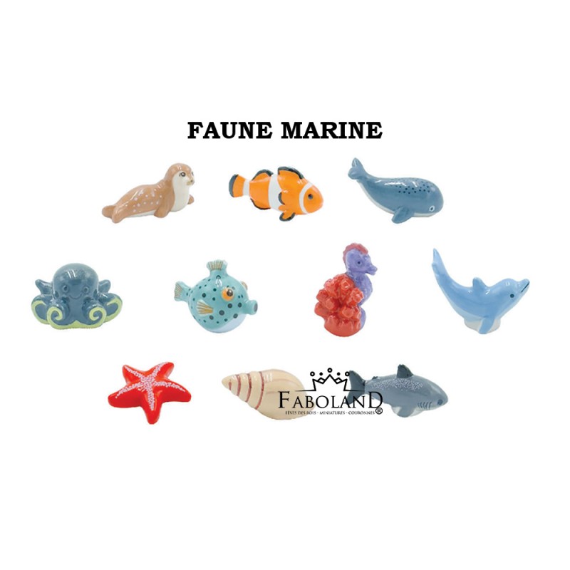 Fauna marina